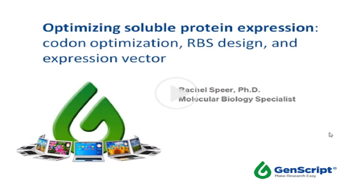 Optimizing Soluble Protein Expression Codon Optimization