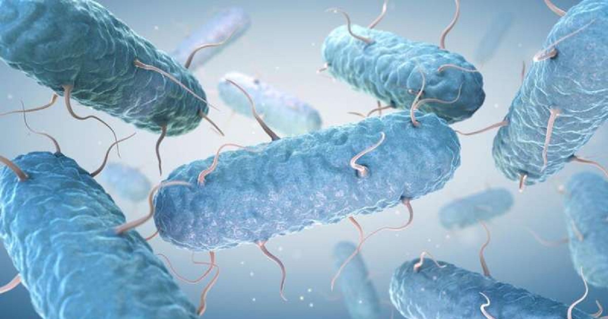 Analyzing gut bacteria more accurately to make diagnosis